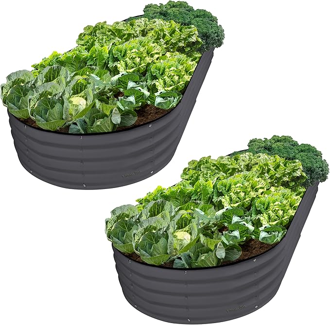 Plant & Plot Galvanized Raised Garden Beds Outdoor // 8×4×1 ft Planter Raised by PlantPlot