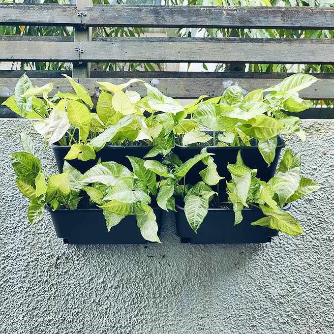 Maxona Black Color Vertical Garden Planter - Image 7