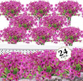 24 Red Lotus Bundles Artificial Flowers by ColoPlay