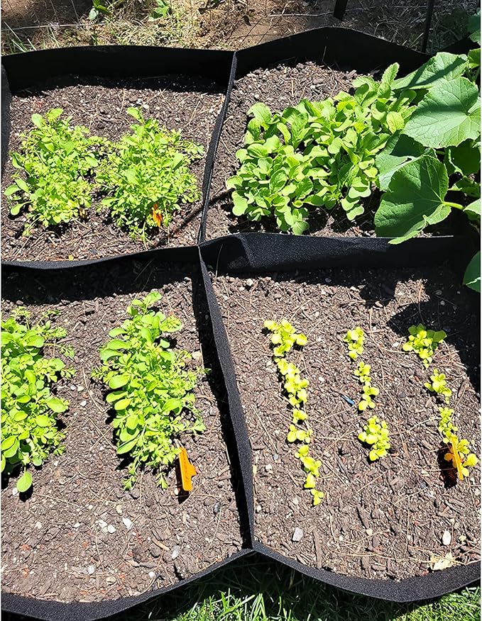 CJGQ Fabric Raised Garden Bed 4x2x1ft Garden Grow Bed Bags - Image 7