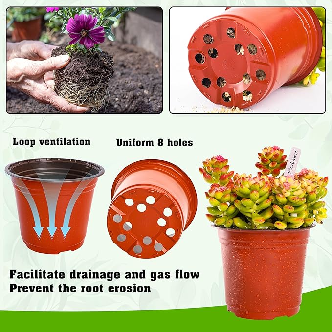 TDHDIKE 6 Inch Plastic Plant Nursery Pots Seedling Flower Plant Container Seed - Image 3