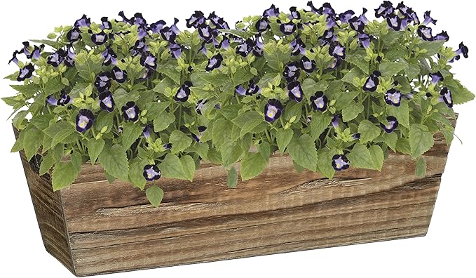 Classic Home & Garden Wood Window Box - Image 2