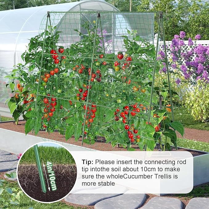 2PCS Cucumber Trellis for Climbing Plants Outdoor, Garden Trellis for Raised - Image 3