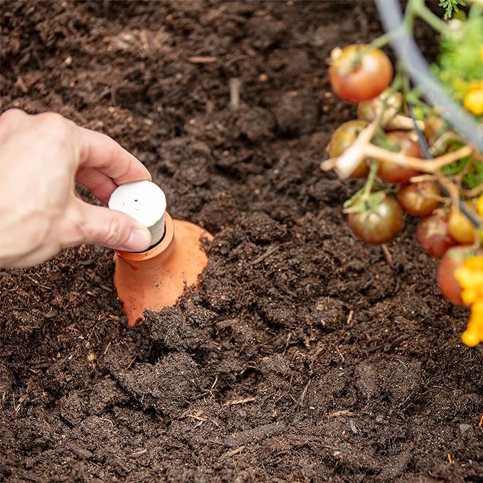 Back to the Roots Self-Watering Terracotta Olla Pot, 700mL Provides 1 Week of - Image 5