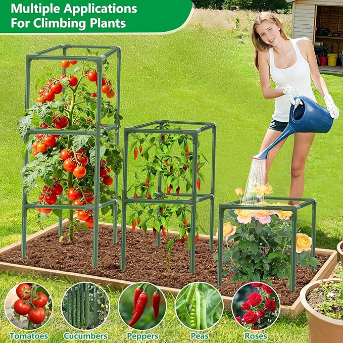 6 Pack Square Tomato Cages, 49.2" Large Upgraded Heavy Duty Steel Tomato - Image 7