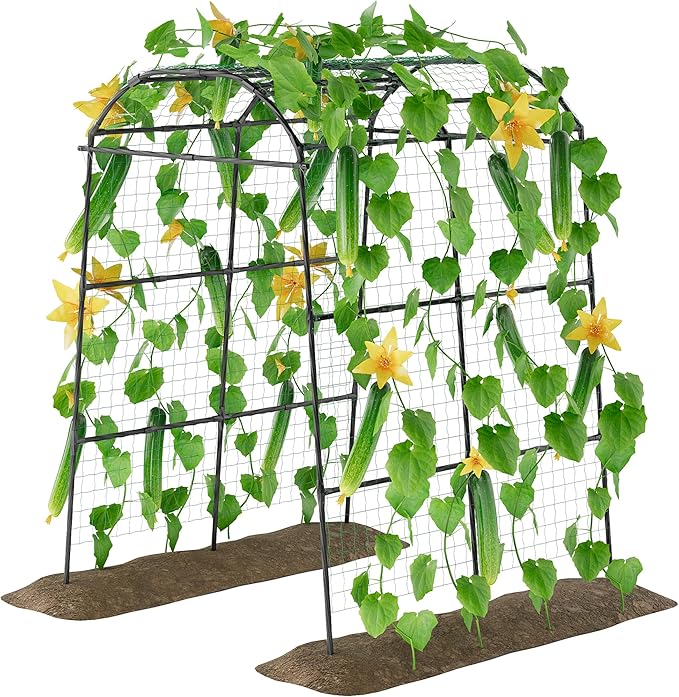 Miory Garden Arch Trellis for Climbing Plants Outdoor, Metal Plants Support by Miory