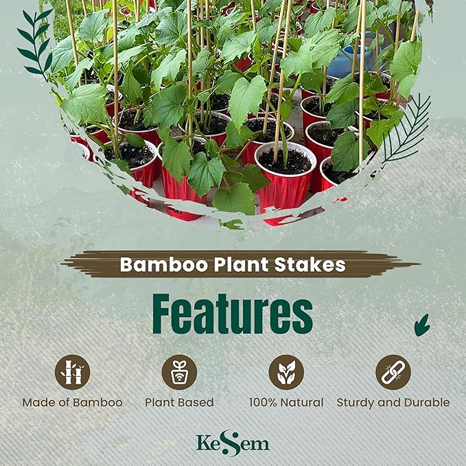 100pcs 18" Bamboo Plant Stakes 18 inch Long Skewers Sticks Wood Plant Supports - Image 6