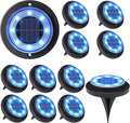 Flacchi Solar Lights Outdoor by Flacchi