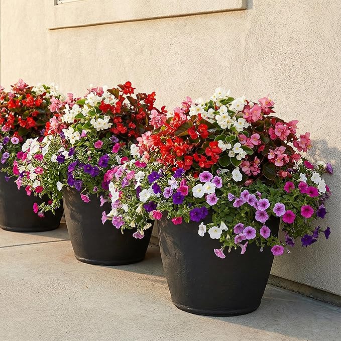 Sunnydaze 20-Inch Anjelica Large Plastic Pot - Image 9