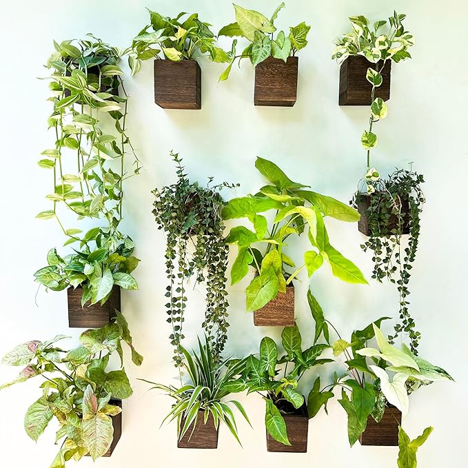 LaLaGreen Indoor Planter Box for Plants Small Square Wooden Wall Mounted by L%C3%A1L%C3%A1Green
