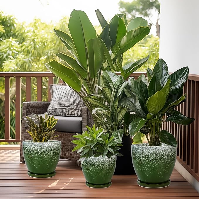 10 Inch Plant Pot - Image 7