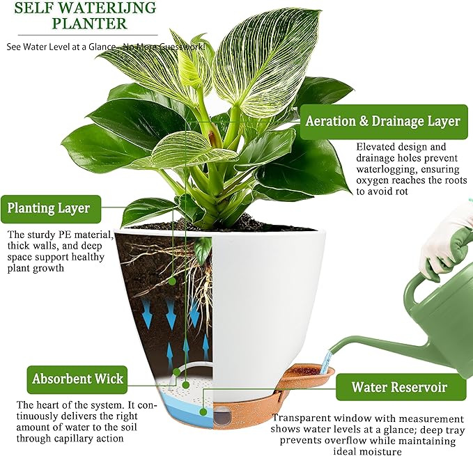 6 Inch Self Watering Pots for Indoor Plants – Small Plastic Planters - Image 5
