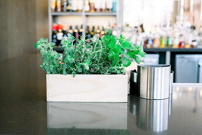 Wooden Planter Box, Rose Wood, Plastic Liner l Garden Decor l Restaurant and - Image 5