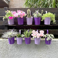 LaLaGreen Hanging Planter Outdoor by L%C3%A1L%C3%A1Green