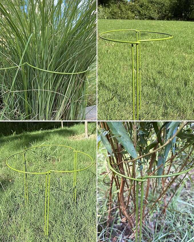 10-Pack Plant Support Stakes, Heavy Duty Steel Plant Stakes as Monstera Plant - Image 4