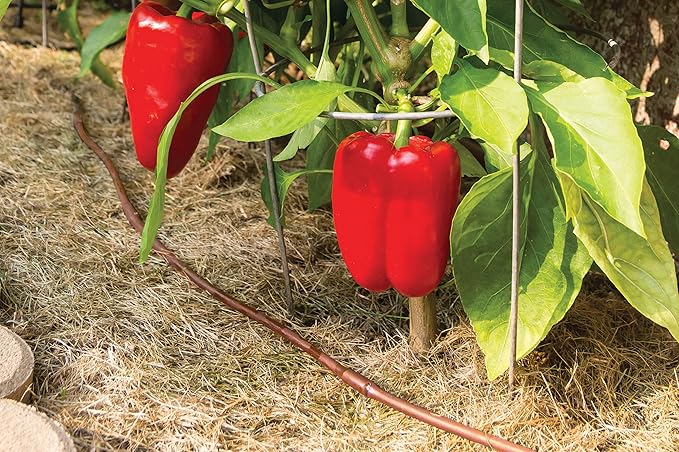Rain Bird GARDENKIT Drip Irrigation Raised Bed Garden Watering Kit - Image 8
