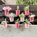 LaLaGreen Railing Planters Outdoor -10 Pack, 4 Inch Metal Hanging Flower Bucket by L%C3%A1L%C3%A1Green