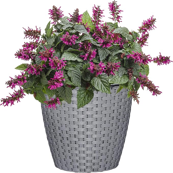 Classic Home and Garden Nantucket Planter - Image 2