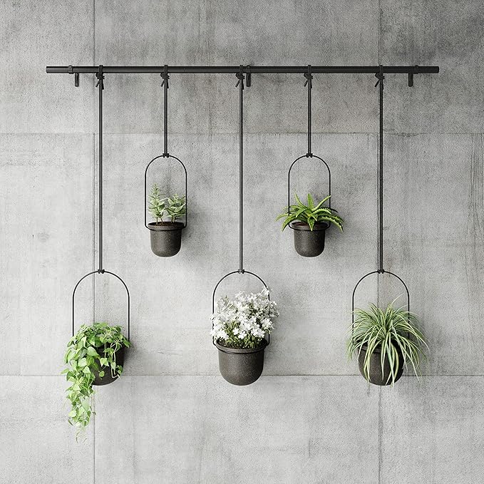 Umbra Triflora Hanging Planter for Window, Indoor Herb Garden - Image 7