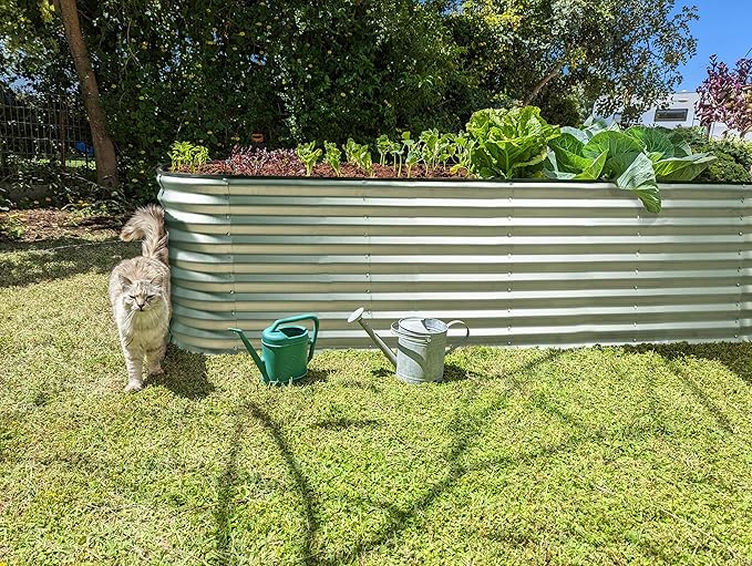 Plant & Plot Galvanized Raised Garden Beds Outdoor // 8×2×2 ft Planter Raised - Image 6